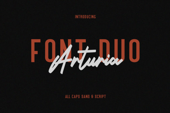 Arturia Script: A Premium Duo Font for Web Design