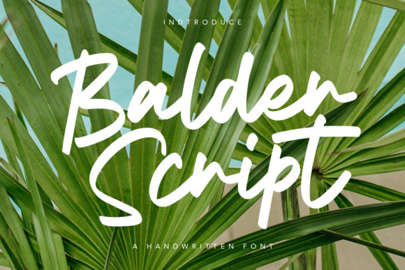 Balder Script: The Ultimate Brush Font for Marketers