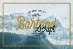 Bartond Script: A Marketer's Review for Campaigns
