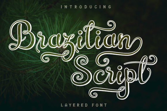 Brazilian Script: A Marketer's Review for Campaigns