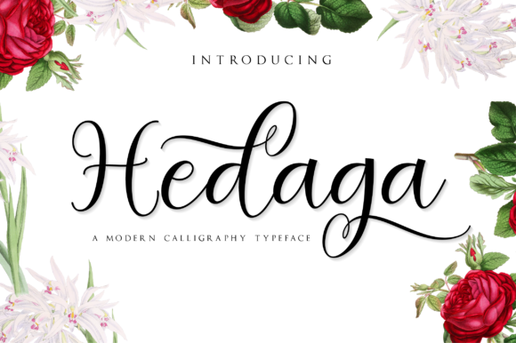 Hedaga: A Romantic Script Font for Editorial Design