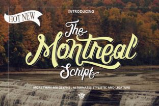 Montreal Script: A Sophisticated Font for Campaigns