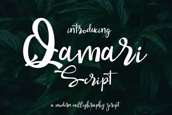 Qamari Script: A Premium Typeface for Elegant Web Design