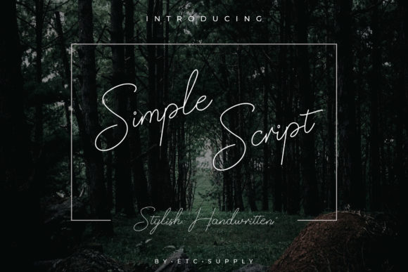 Simple Script: A Stylish Handwritten Font for Campaigns